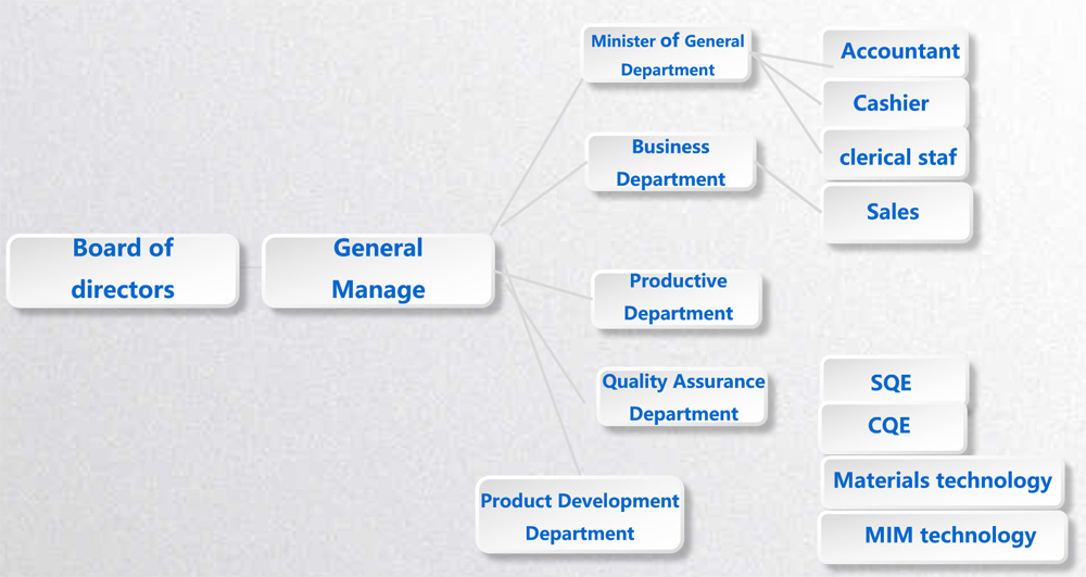 Company Structure